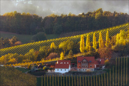 Herbst-Skizzen / ***