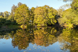 Reflexion der Herbst / ***