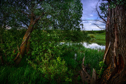 Am Teich ... / ***