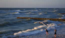 Ostsee / ***