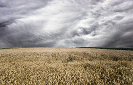 Vor dem Sturm / ***