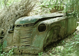 Das alte Pferd / ***