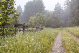 Nebliger Morgen / ***