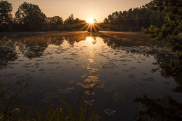 Die Geburt eines neuen Tages. / ***