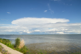 Auf dem See / ***