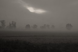 Morgendämmerung / ***