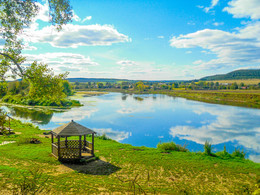 natürliche Schönheit / ***