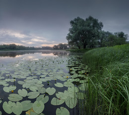 Vor der Morgendämmerung / ***