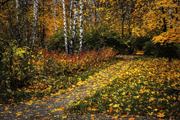 Herbststimmung. / ***