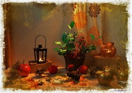 Licht des Herbstes / 2016