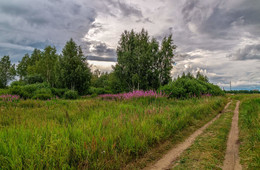 der Weg nach Hause / ***