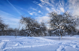 Wintergarten / ***