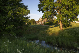 Rustic Morgen / ***