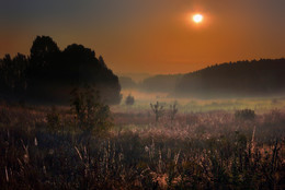 Ganz früh am Morgen / ***