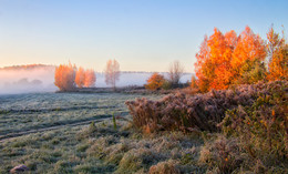 Herbstnebel / ***