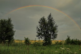Regenbogen / ***