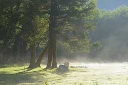 Die Sonne steigt / ***