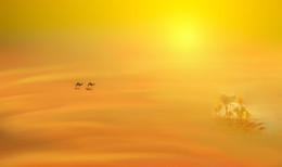 Luftspiegelungen ... / ***