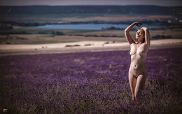 Krim- Lavendel / Ph: Roman Sergeev http://vk.com/srfoto