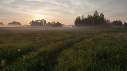 Morgendämmerung / ***