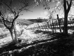 fgns hrthaq / ahraeth