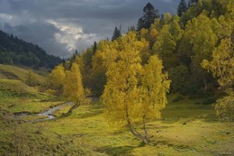 Tal Dzhalpakol / ***