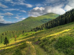 &nbsp; / [img]https://i.imgur.com/116Jozv.jpg[/img]
[img]https://i.imgur.com/7vXjjJR.jpg[/img]
[img]https://i.imgur.com/aKP8ugY.jpg[/img]
[img]https://i.imgur.com/lEtweit.jpg[/img]
[img]https://i.imgur.com/KLE3AYJ.jpg[/img]
[img]https://i.imgur.com/L9rilnx.jpg[/img]
