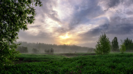 Morgendämmerung / ...