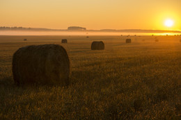 Morgendämmerung / ***