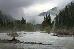 Nach dem Regen / ***