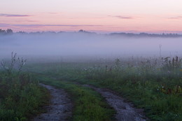 Nebel / ***