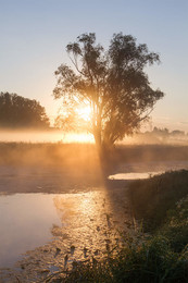 Morgendämmerung / ***