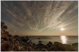 Abendstimmung am Meer / ***