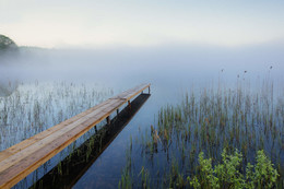 Verschwinden im Nebel / ***