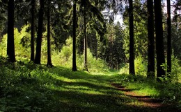 Der Morgen beginnt mit der Morgendämmerung / ***