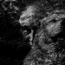 Sommernachtstraum / ***