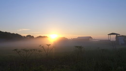 Nebel in der Morgendämmerung. / ***