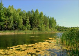 Sommernachmittag / ***