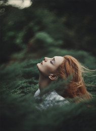  / Helios 40-2