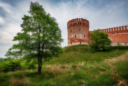 Tree&amp;Tower. / Tree&amp;Tower.