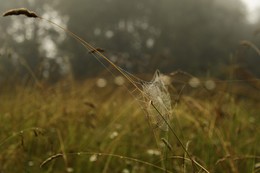 Bald Herbst ... / ***