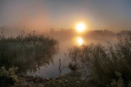 Morgendämmerung / ***