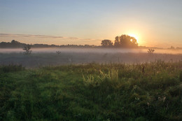 Morgendämmerung / ***