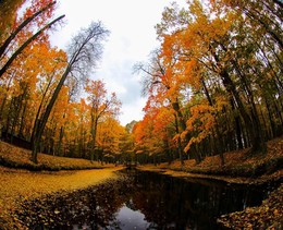 Herbstteich 2 / ***