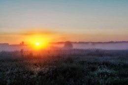 Morgendämmerung / ***