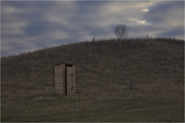 Birke / ***