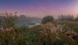 Morgendämmerung / ***