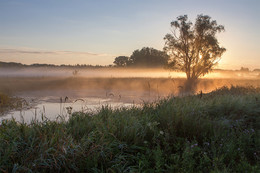 Morgendämmerung / ***