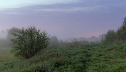 durch Nebel dominiert / ***