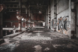 asylum / No comments.